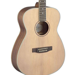 Neligan ASY-A Solid Top Auditorium Guitar
