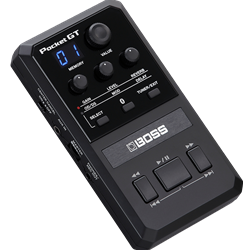 Riverton Music - BOSS POCKET GT - Pocket Effects Processor