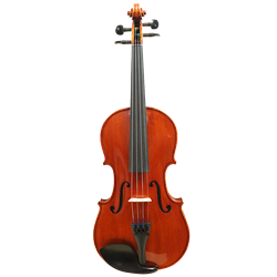 Archer M V101614 Viola 14 O/F