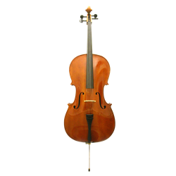 Primo C534 Cello 3/4 Outfit Standard
